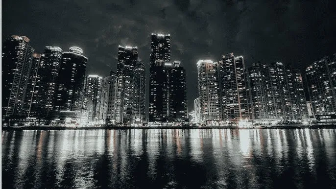 杨思敏 - 城市之光：霓虹背后的人间烟火